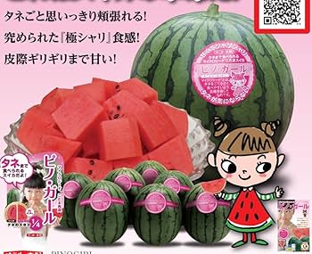 ２・東京都・ゆう・ピノガール ピノガール」の人気商品一覧 | 安い商品を通販サイトから探す